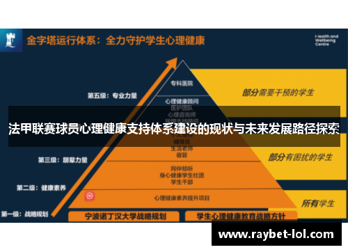 法甲联赛球员心理健康支持体系建设的现状与未来发展路径探索