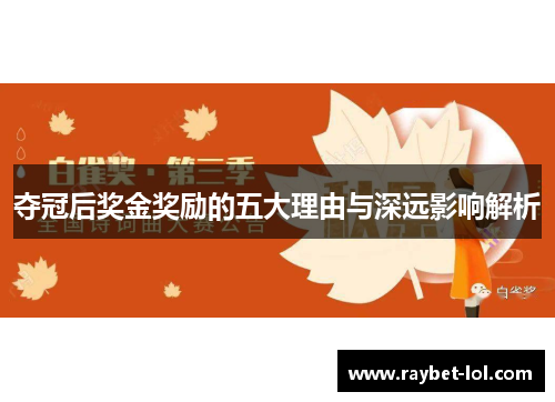 夺冠后奖金奖励的五大理由与深远影响解析
