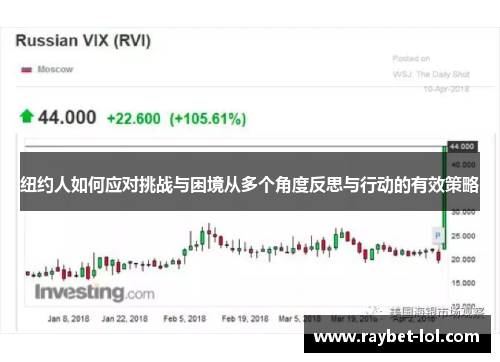 纽约人如何应对挑战与困境从多个角度反思与行动的有效策略