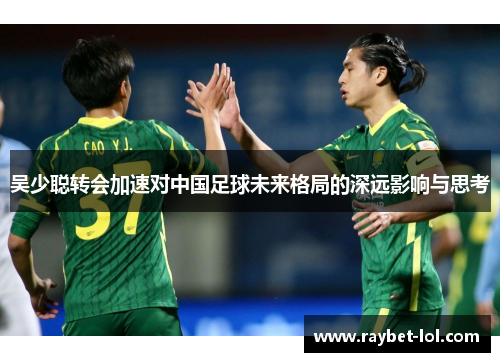 吴少聪转会加速对中国足球未来格局的深远影响与思考