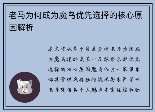 老马为何成为魔鸟优先选择的核心原因解析